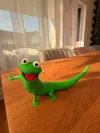 Waving Lizard