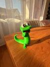 Shocked Lizard - 4 Colors