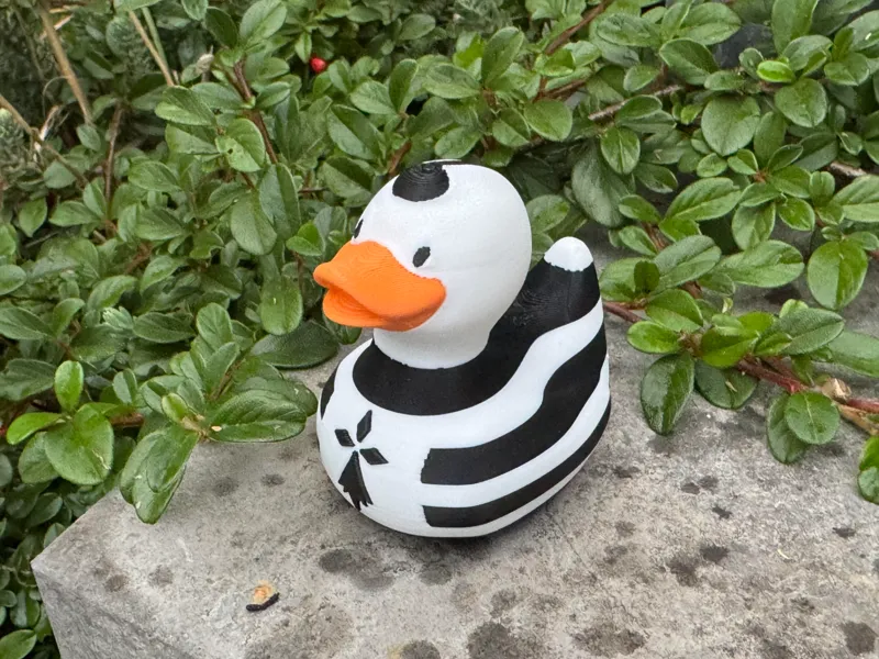 Canard Breton