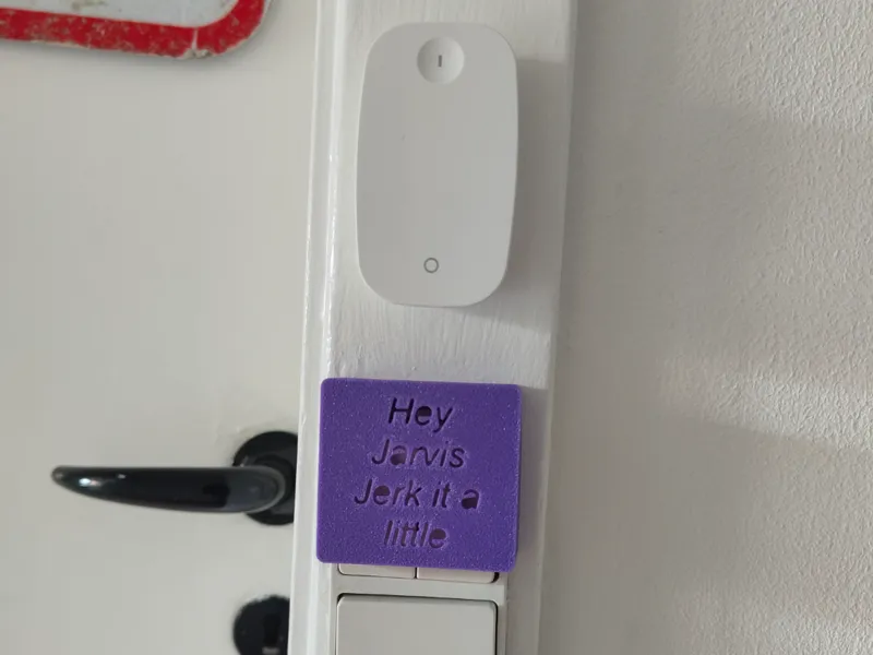 Light Switch Cover EU 