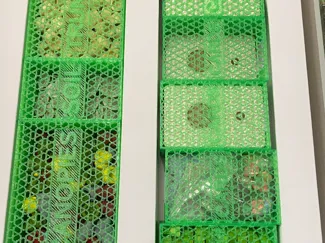 Earth board game insert within original insert