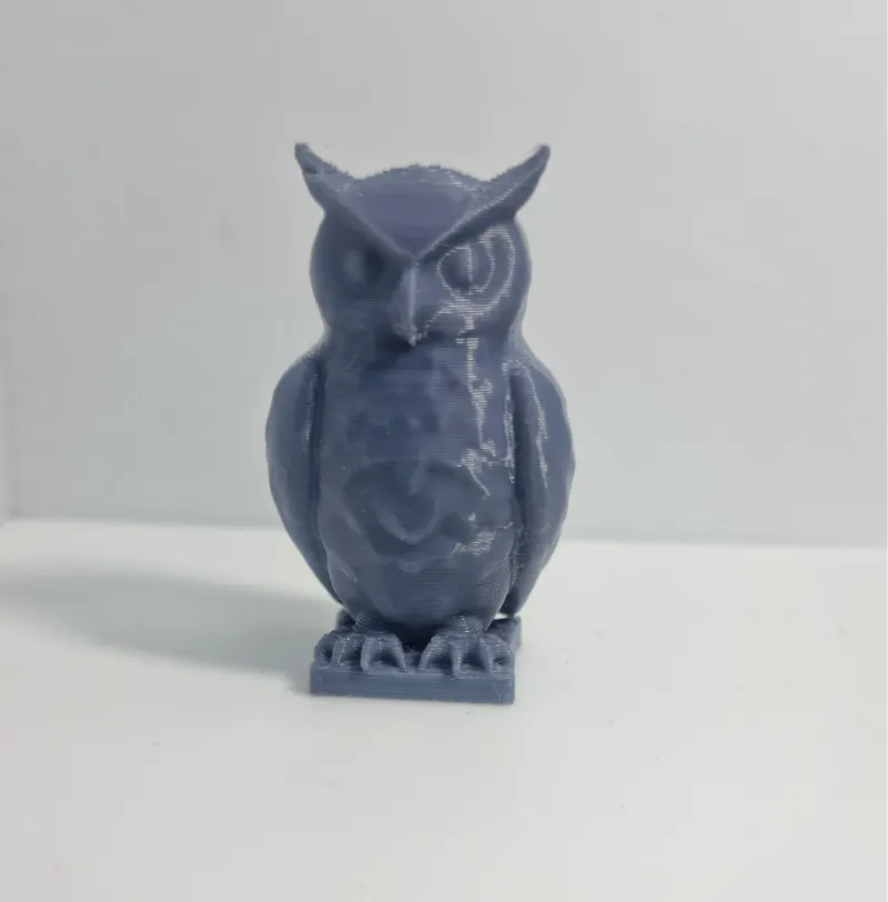 Cute owl