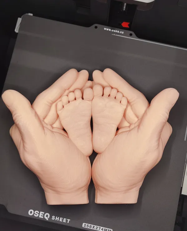 https://makerworld.bblmw.com/makerworld/model/US71fe1c590a97e7/design/2024-07-24_4790db651ef5c.jpg