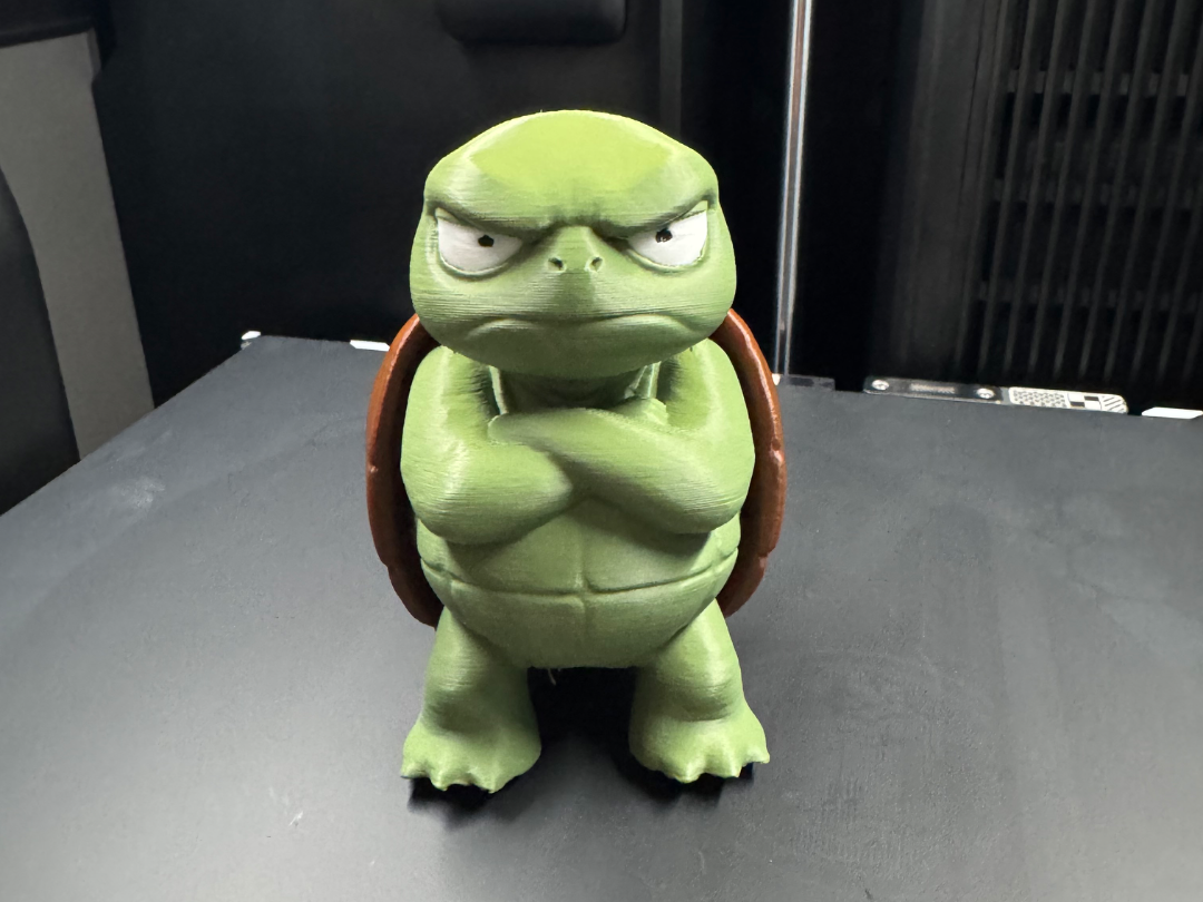 Grumpy Turtle