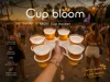 Cup Bloom Petg Profile
