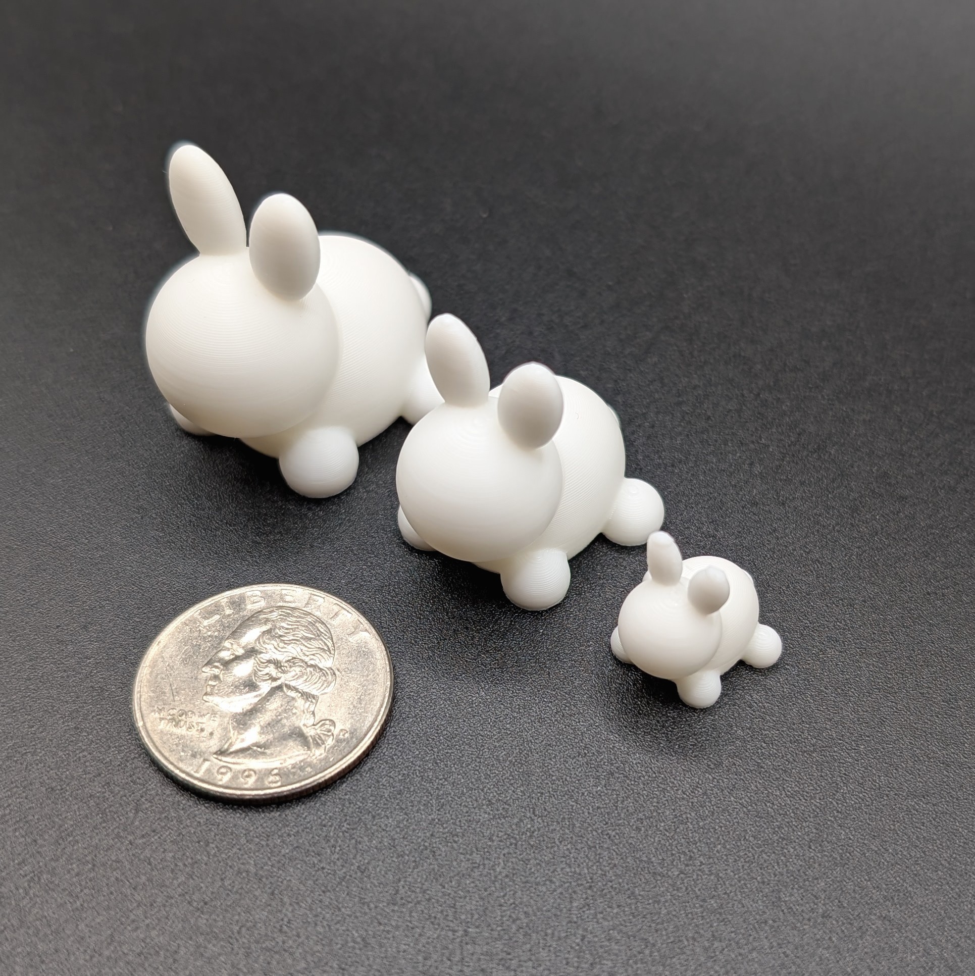 1 small bunny
