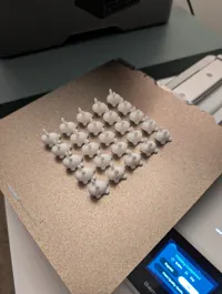 Lapin minimaliste — photo 3