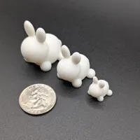 Lapin minimaliste — photo 4