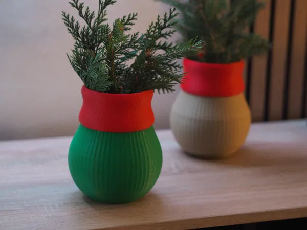 https://makerworld.bblmw.com/makerworld/model/US7208fa1a91e13/design/2025-11-30_24411e058795b8.jpg