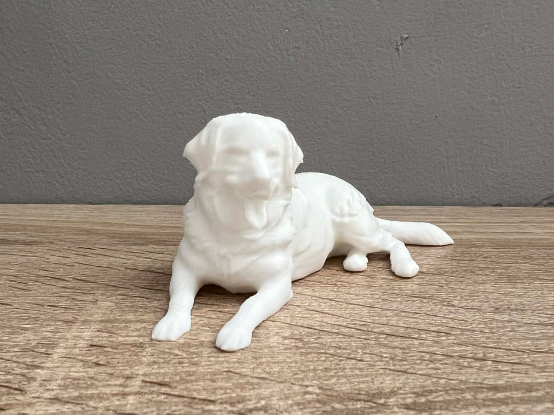 Bernese Mountain Dog - Decor