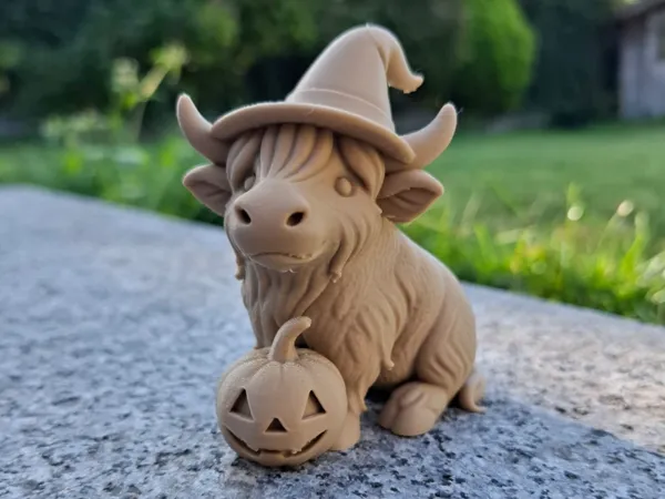 https://makerworld.bblmw.com/makerworld/model/US7211a1480d56a0/design/2025-08-19_b8d1e51d1db0a.jpg