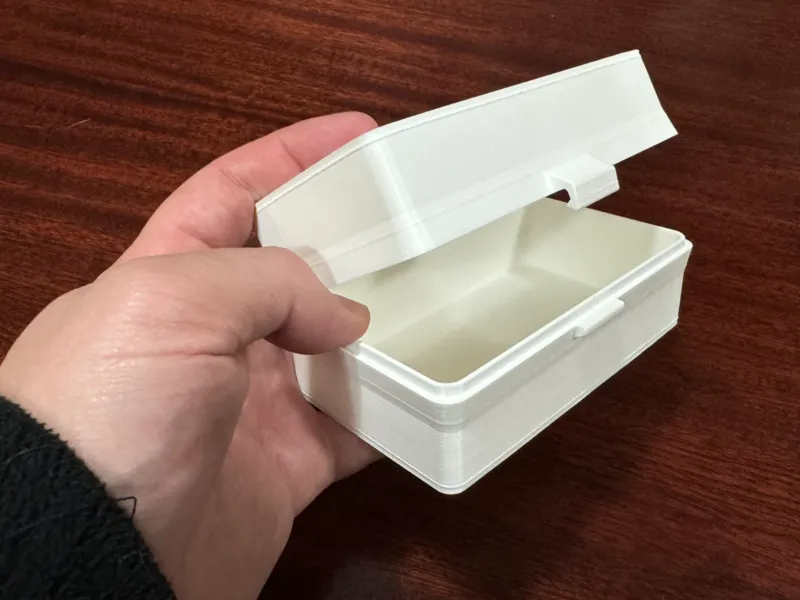 Case with clip and hinges