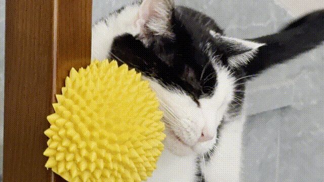 榴莲猫咪挠痒神器