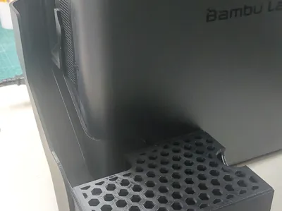 Poop slide with removable bin