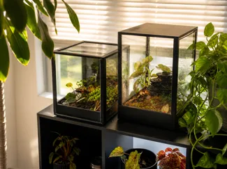 Ikea kallax terrarium 