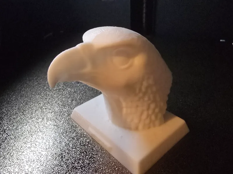 Adler Büste
