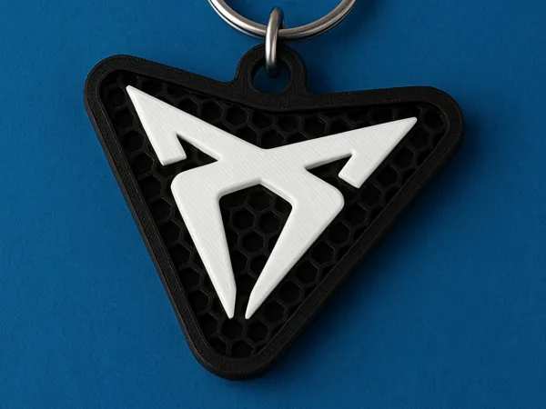 https://makerworld.bblmw.com/makerworld/model/US72220e80cd5b58/design/2025-08-20_80916752a0e758.jpg