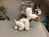 Chien ballon qui fait caca — photo 2