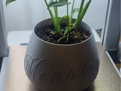 pot for monstera