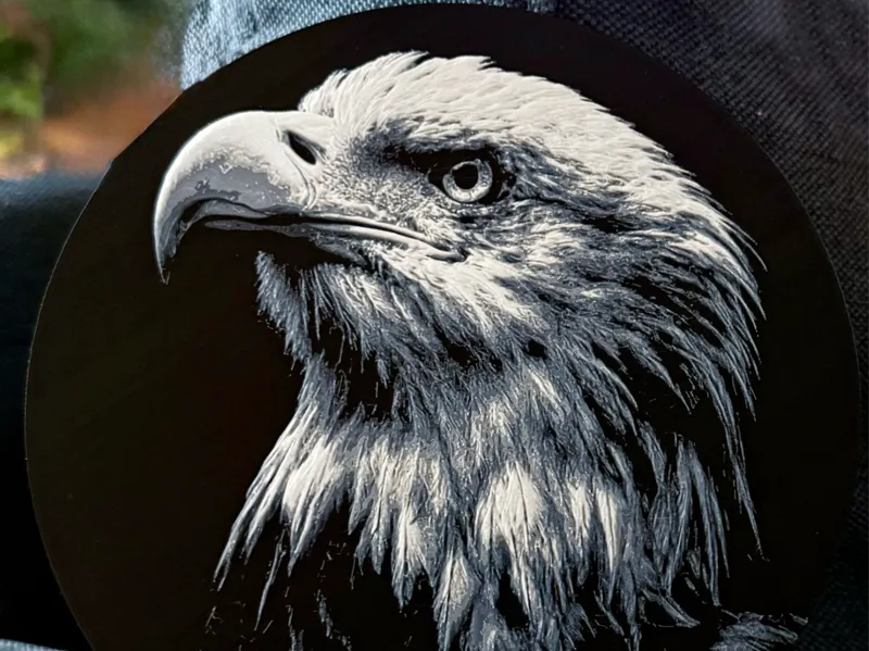 American Bald Eagle – High Contrast Chroma Canvas