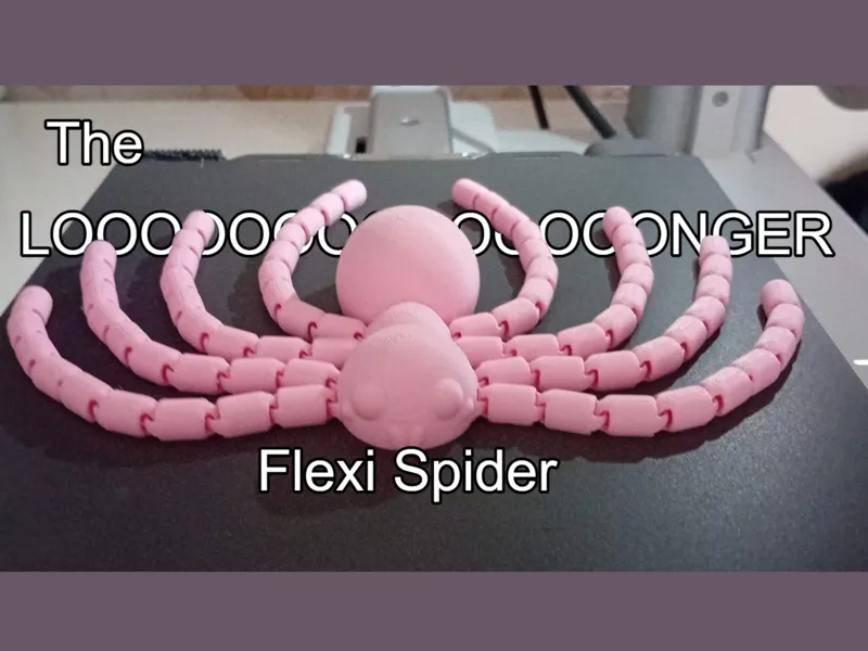 The LONGER Cute Flexi Spider!