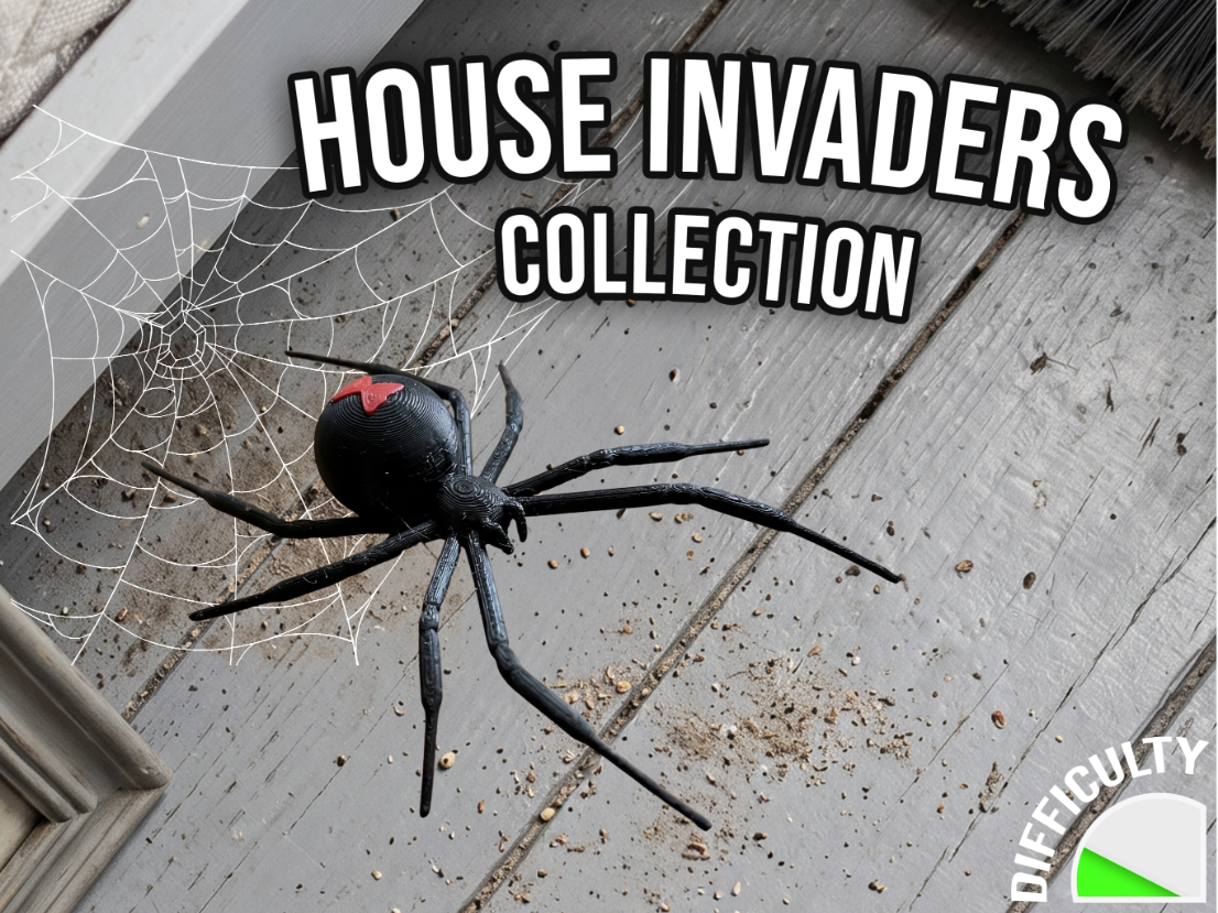 House Invaders - Black Widow Spider