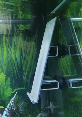 Pondoir Scalaires Discus