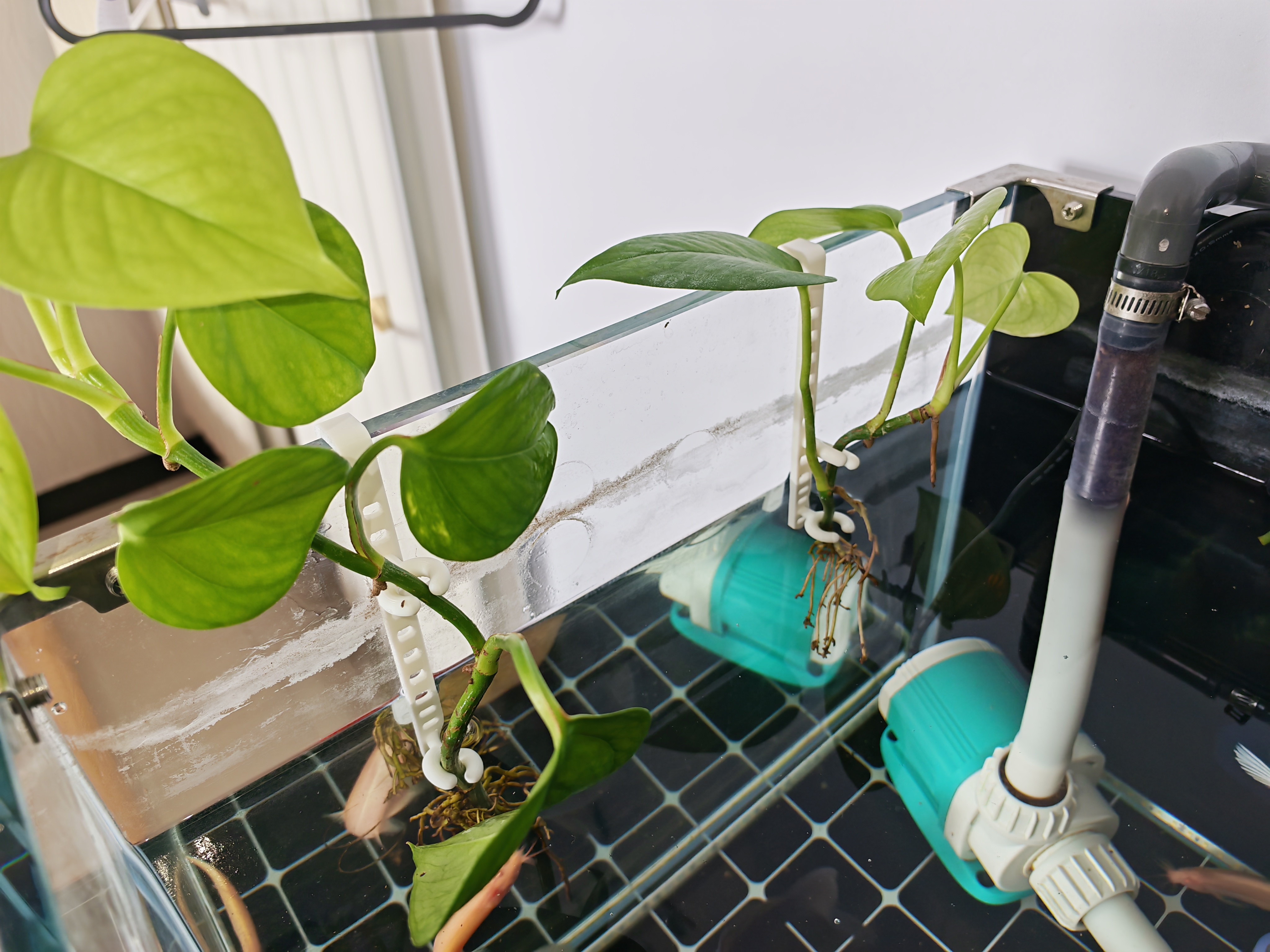 Miniatura 1 do modelo 3D 鱼缸绿植挂架