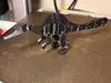 spino