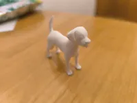 Chien — photo 3