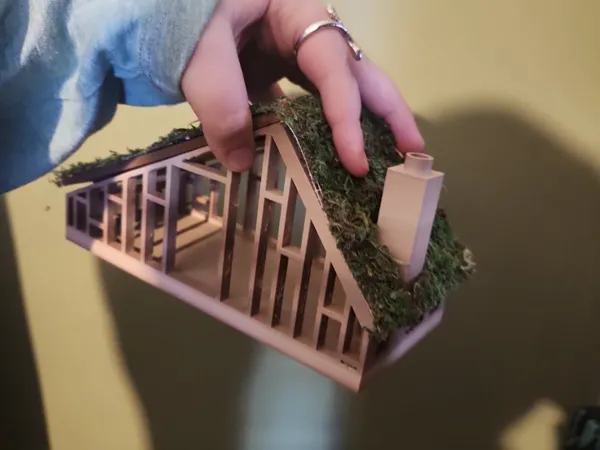 https://makerworld.bblmw.com/makerworld/model/US7236099911bde4/design/2025-03-17_2c2b6b76cd8c6.jpg