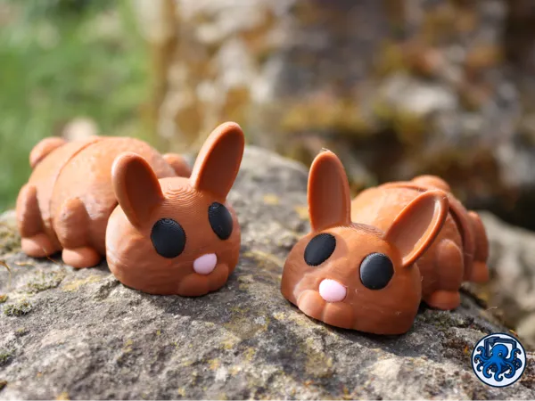 https://makerworld.bblmw.com/makerworld/model/US7237d3cf409230/design/2026-01-18_7350d8385cba08.png