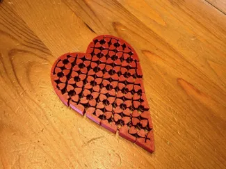 Flexi-Heart