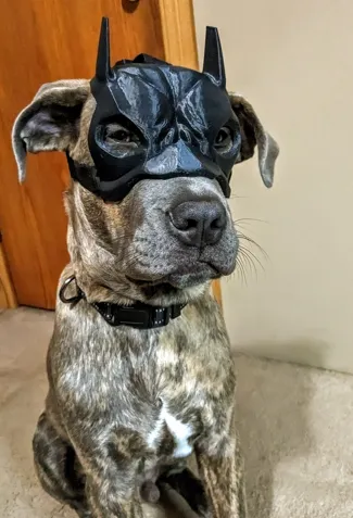Remix to Mask for Dog