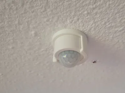 Tuya PIR Sensor Ceiling Mount