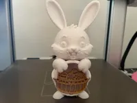 2D version basket