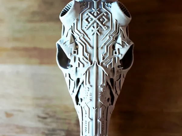 https://makerworld.bblmw.com/makerworld/model/US724fb94fffa99c/design/42bcb9299a6a212d.jpg