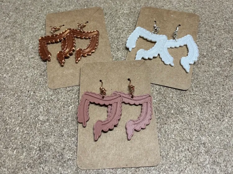 Colon Earrings (Large Intestines)