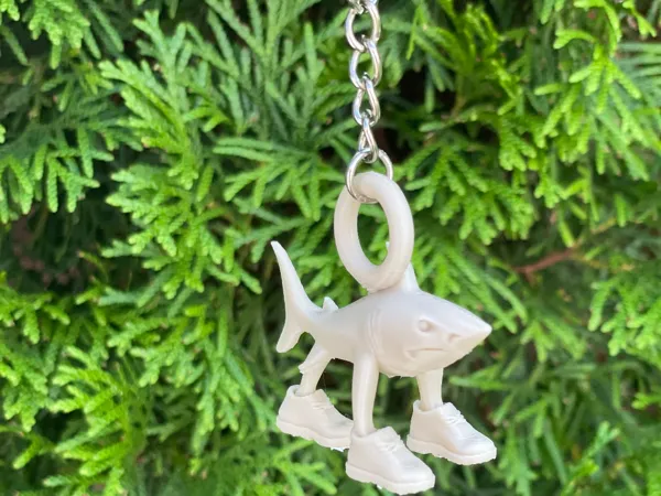https://makerworld.bblmw.com/makerworld/model/US7255387849eb1/design/2025-07-14_e72387ee0ba31.jpg