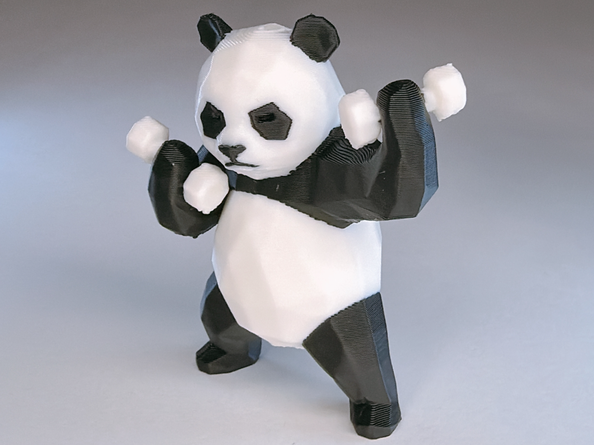 Gym Panda: Workout Motivation (Low-Poly)