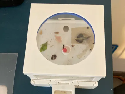 Slide Ant Nest - P2 (alternative TOP )