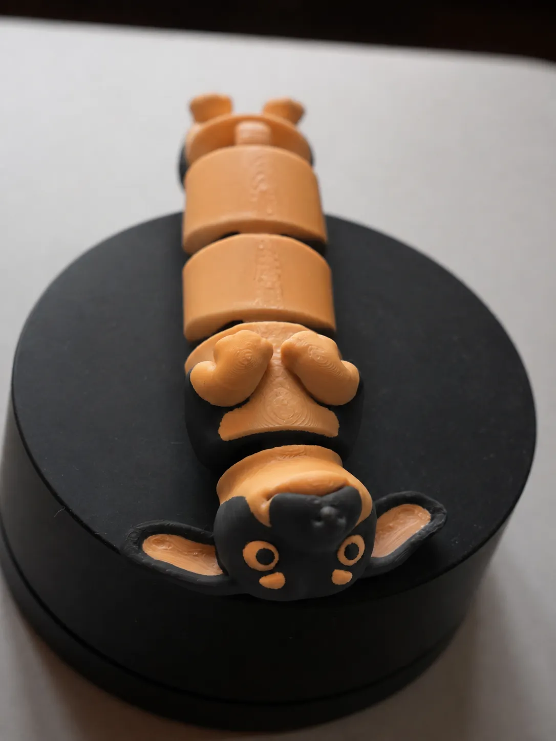 Flexi Dachshund [ BACK SIDE ] view 2