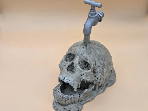 https://makerworld.bblmw.com/makerworld/model/US7264c08ade1c2d/design/2025-11-01_11260d67f571e.jpg