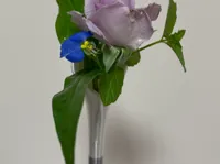 0.16mm 层高, 2 层墙, 15% 填充