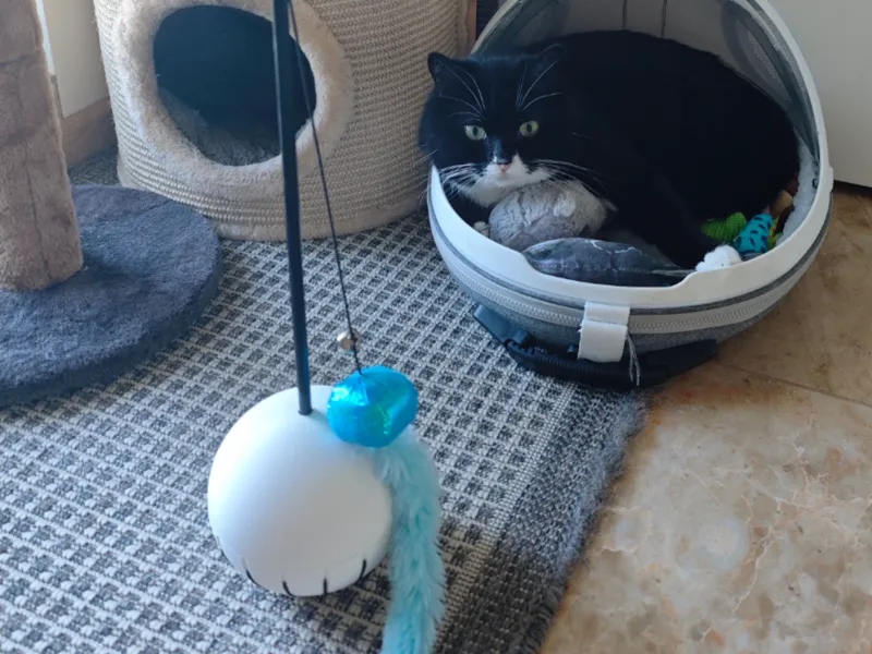 Rocking Cat Wand Holder 