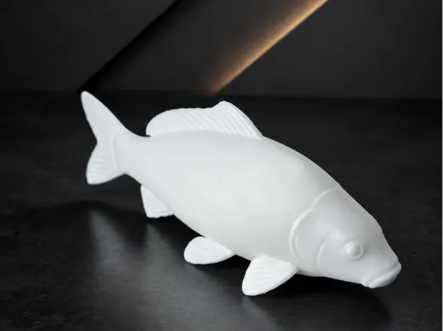 Carp fish