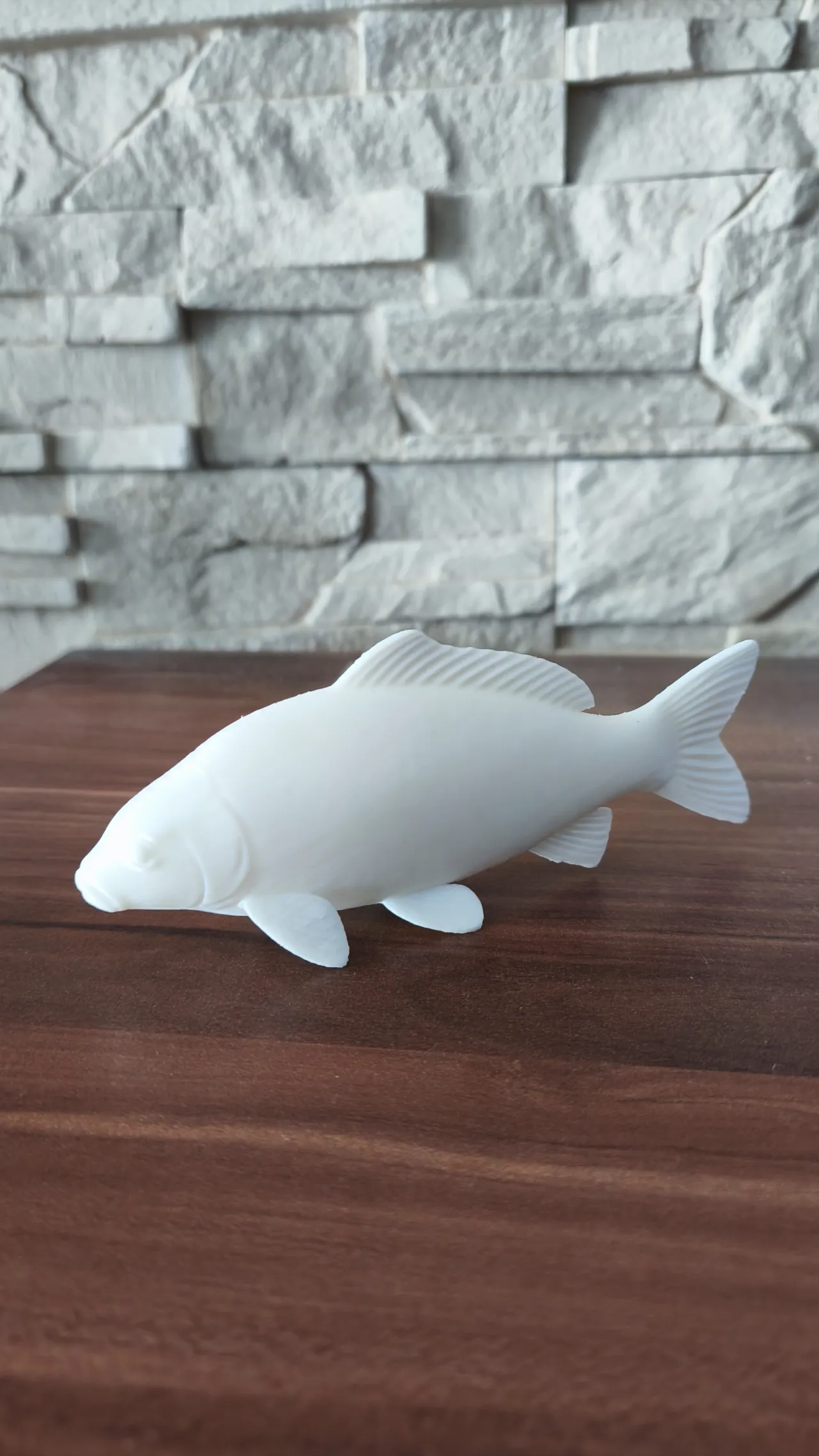 Carp fish view 2
