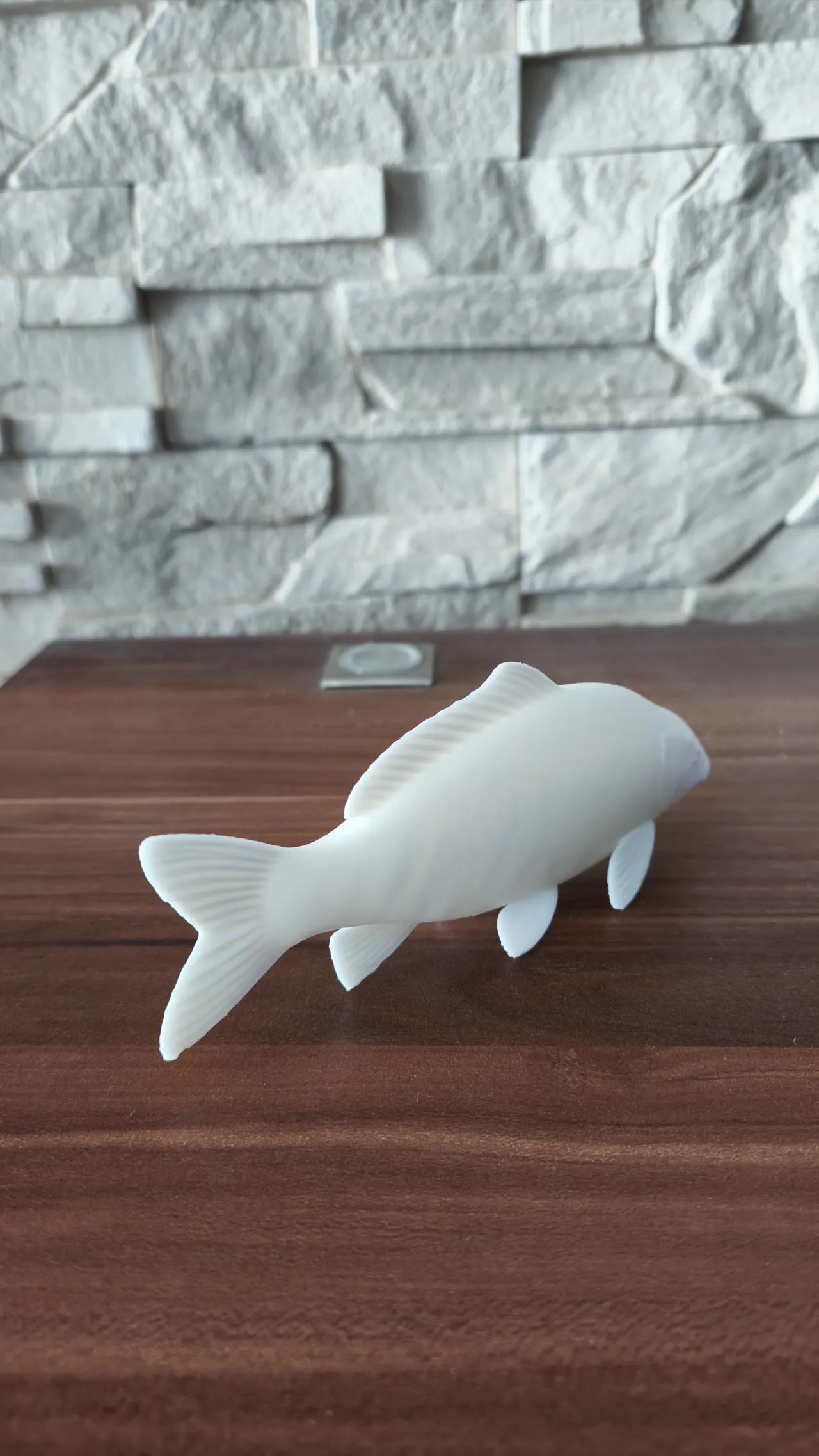 Carp fish view 3