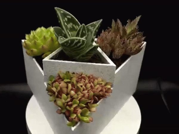 https://makerworld.bblmw.com/makerworld/model/US726b022c6dd700/design/2024-08-24_7bf070716aec1.gif