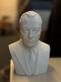 0.08mm layer, 2 walls, 10% infill
